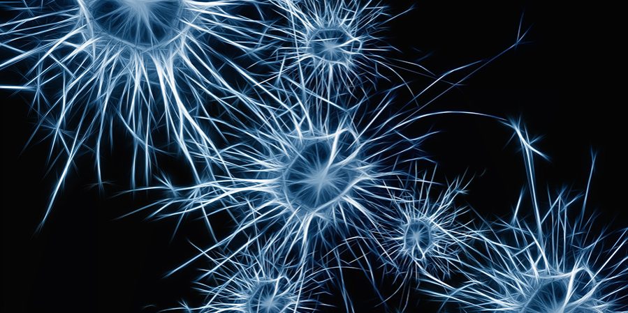 Brain-Training Brain-Training