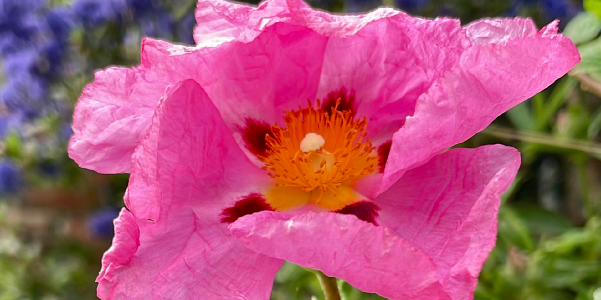 HYPNOTHERAPY-NEAR-WANTAGE-AS-HOPE